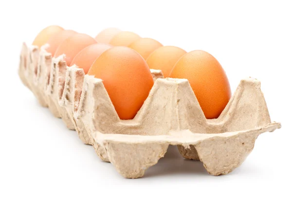 Яйца в лотке — стоковое фото