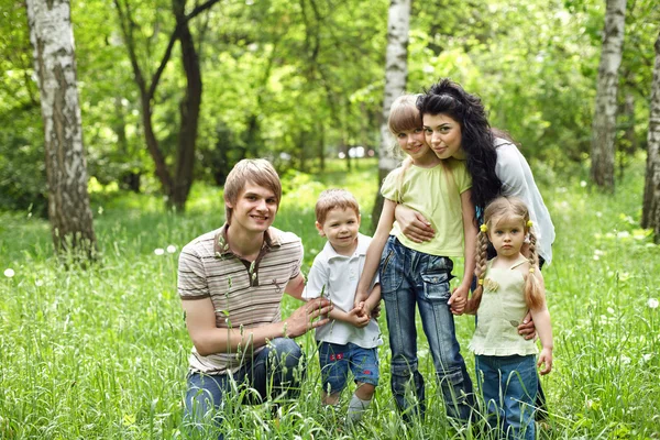 Odkryty rodziny z dziećmi na zielonej trawie. — Zdjęcie stockowe