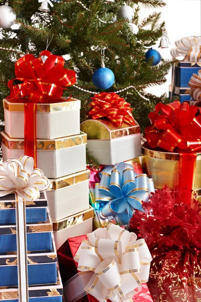 Christmas tree and group gift box. Stock Photo