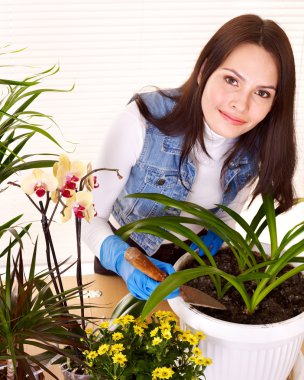 houseplant sonra arayan kadın