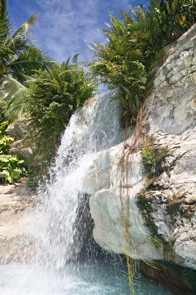 Cachoeira de montanha na Malásia. Langkawi. . — Fotografia de Stock