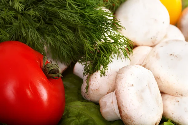 Gemüse- und Pilzgruppe mit Dill. — Stockfoto