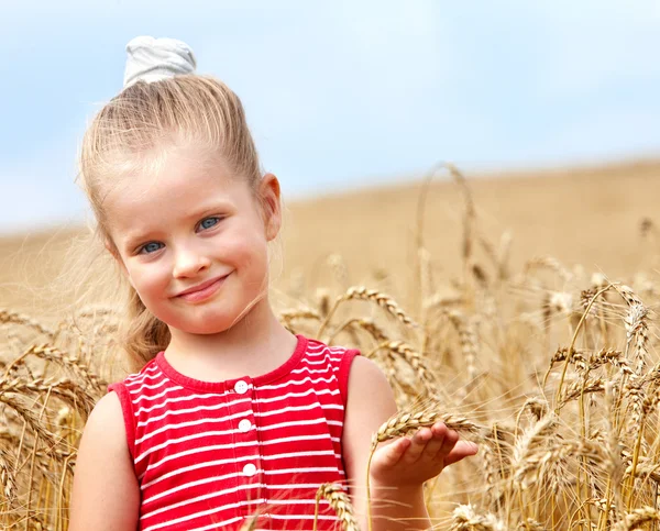 Kid in wheat field. — Stock Photo, Image