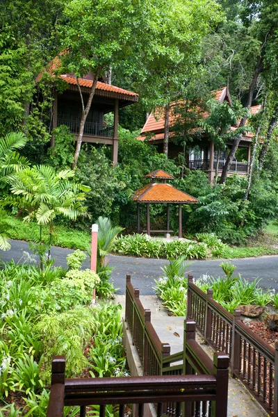 Resort saudável na floresta tropical. Ecoturismo . — Fotografia de Stock