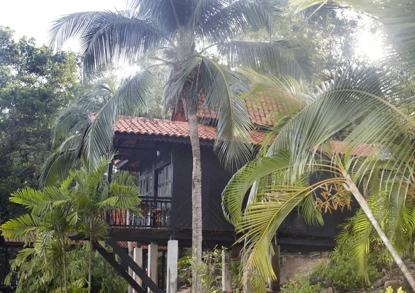 Resort benessere nella foresta pluviale verde . — Foto Stock