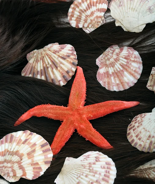 Woman long hair decoration shellfish. — Stock Photo, Image