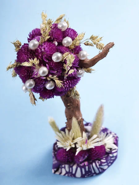 Uspořádání sušených květin. — Stock fotografie