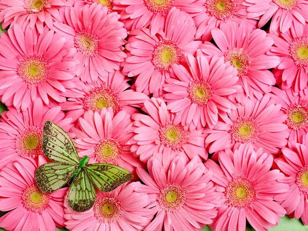 Background of flower. — Stock Photo, Image