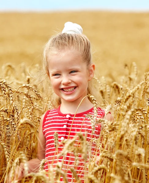 Criança no campo de trigo . — Fotografia de Stock