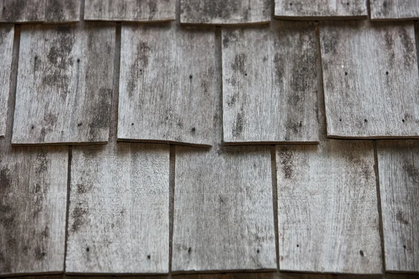 Struttura astratta della parete di legno . — Foto Stock