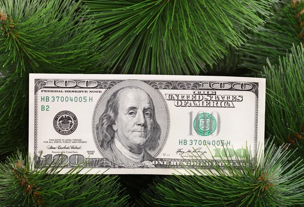 Peníze na stromě cristmas — Stock fotografie