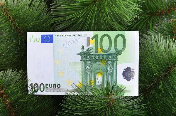 Money on cristmas tree — Stock Photo, Image