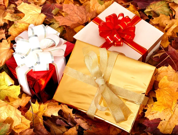 Bodegón de otoño con caja de regalo de grupo . — Foto de Stock