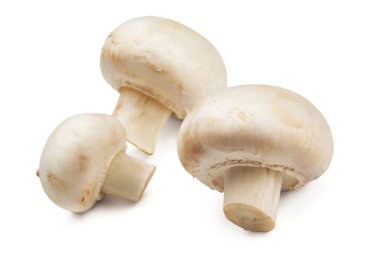 Button mushrooms clipart