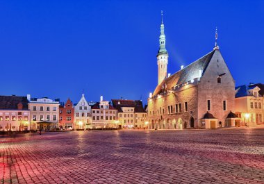 Old Town Hall in Tallinn clipart