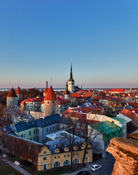 Oude stad van Tallinn Estland — Stockfoto