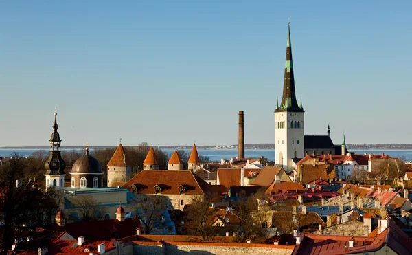 Stare miasto Tallin Estonia — Zdjęcie stockowe