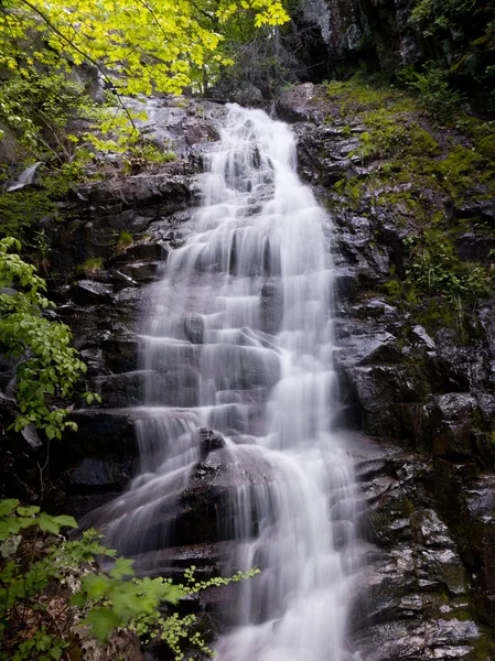 全体的な実行の滝 — ストック写真
