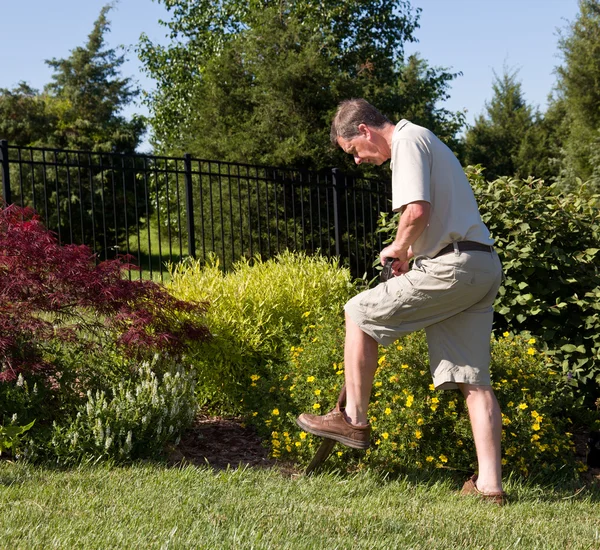 Senior man digging in garden — Stock Photo, Image