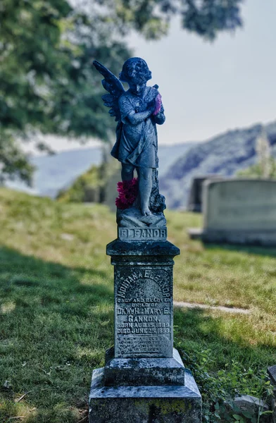 Statue d'Eleanor dans le cimetière Harpers Ferry — Photo