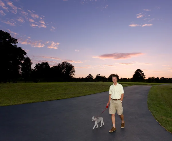 Homem sênior cão de passeio ao pôr do sol — Fotografia de Stock