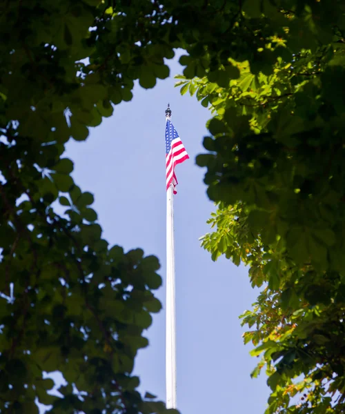 Us-Fahne eingerahmt von Blättern — Stockfoto