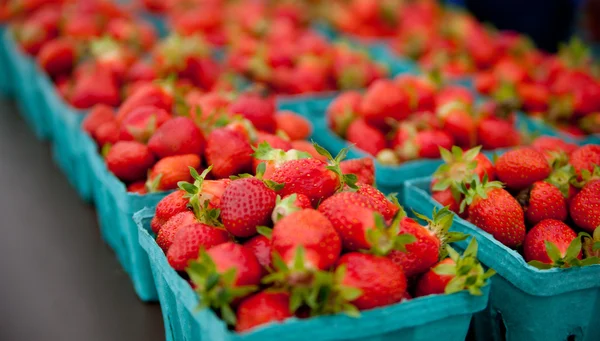 Containers van aardbeien op een boeren-markt — Stockfoto
