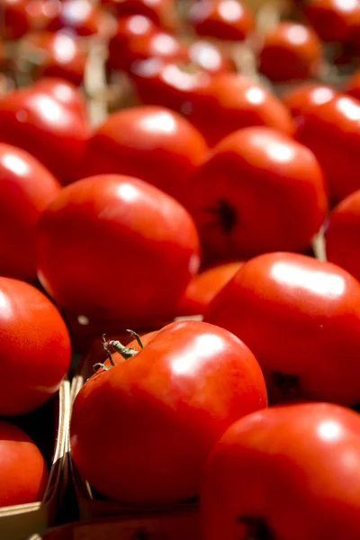 A pile of tomatoes at a farmers market Stock Picture