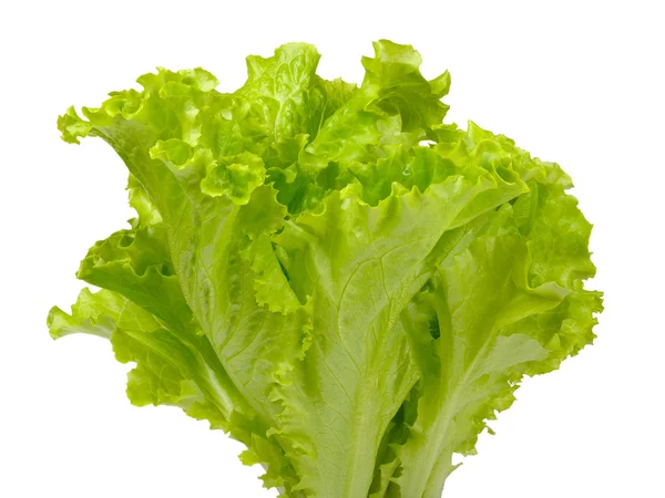 Salată verde cu unt izolată pe alb — Fotografie, imagine de stoc