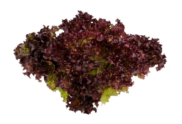 Salată verde cu unt roşu — Fotografie, imagine de stoc