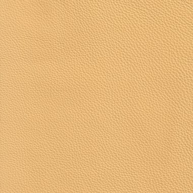 High resolution beige leather clipart