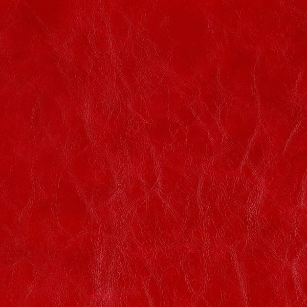 Červená kůže — Stock fotografie