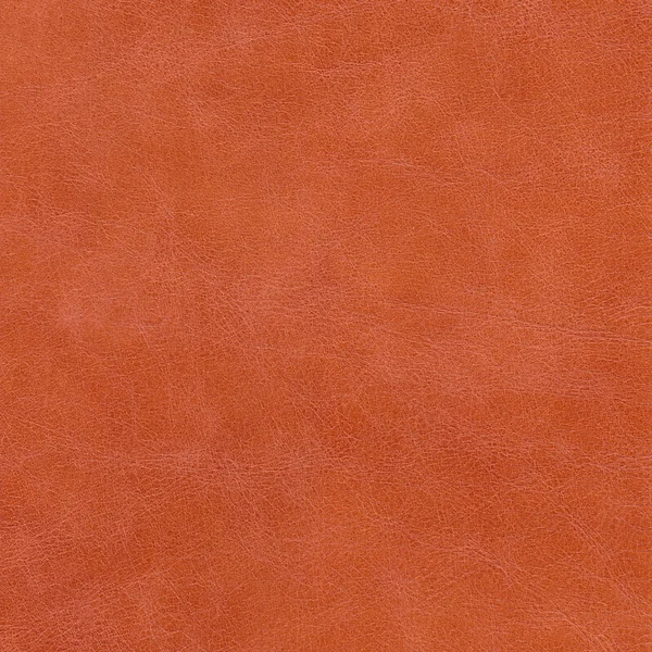 Genuine leather — Stock Photo, Image