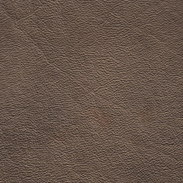 Genuine leather — Stock Photo, Image