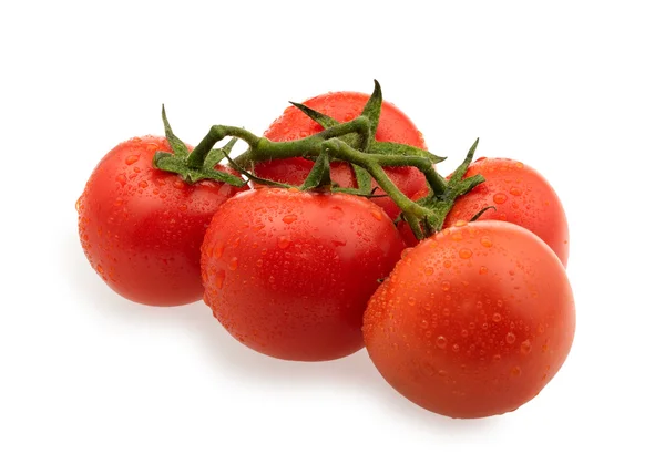Υποκατάστημα της κόκκινες ντομάτες — Φωτογραφία Αρχείου