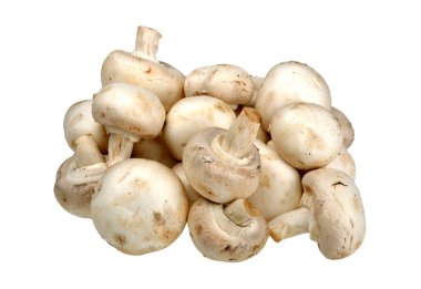 bir beyaz champignon