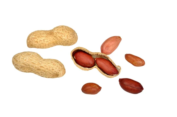 Peanut on white — Stock Photo, Image