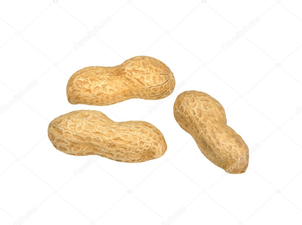 Peanut on white