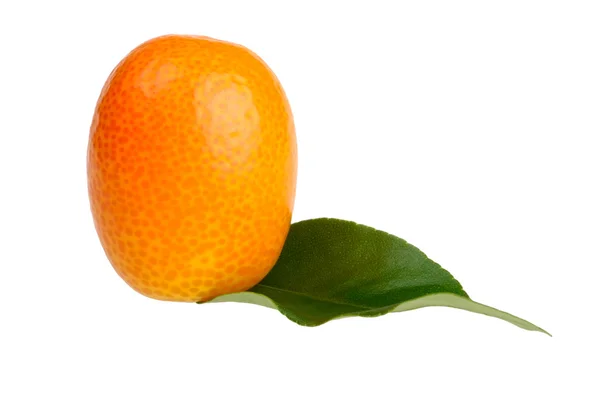 在白色背景上的金橘 — 图库照片