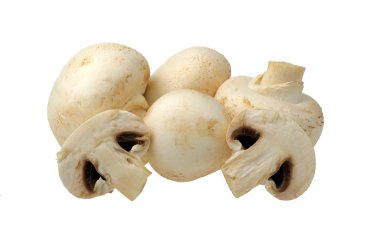 bir beyaz champignon