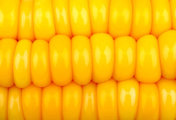 Фон зерна кукурузы — стоковое фото