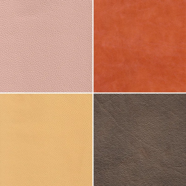 Samples of leather — Stock Photo, Image