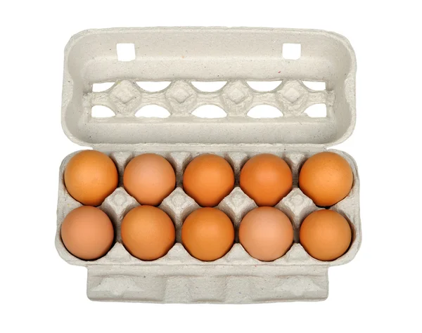 Des douzaines d'œufs en carton Images De Stock Libres De Droits