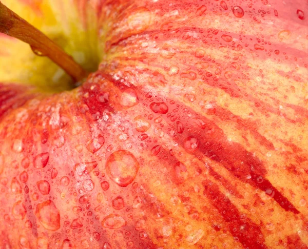 Background of a red apple — Stock Photo, Image