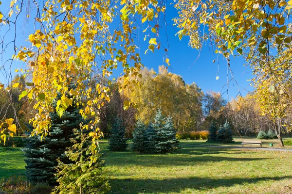 stock image Autumn landscape