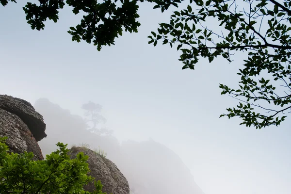 山の風景 — ストック写真