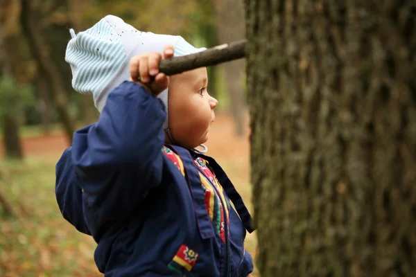 Een kleine jongen met een stok in zijn hand. — Stockfoto