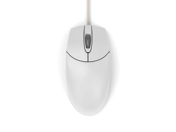 Computer mouse Stock Image