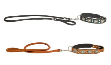 Two dog collar with leash clipart