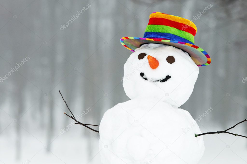 Winter funny snowman